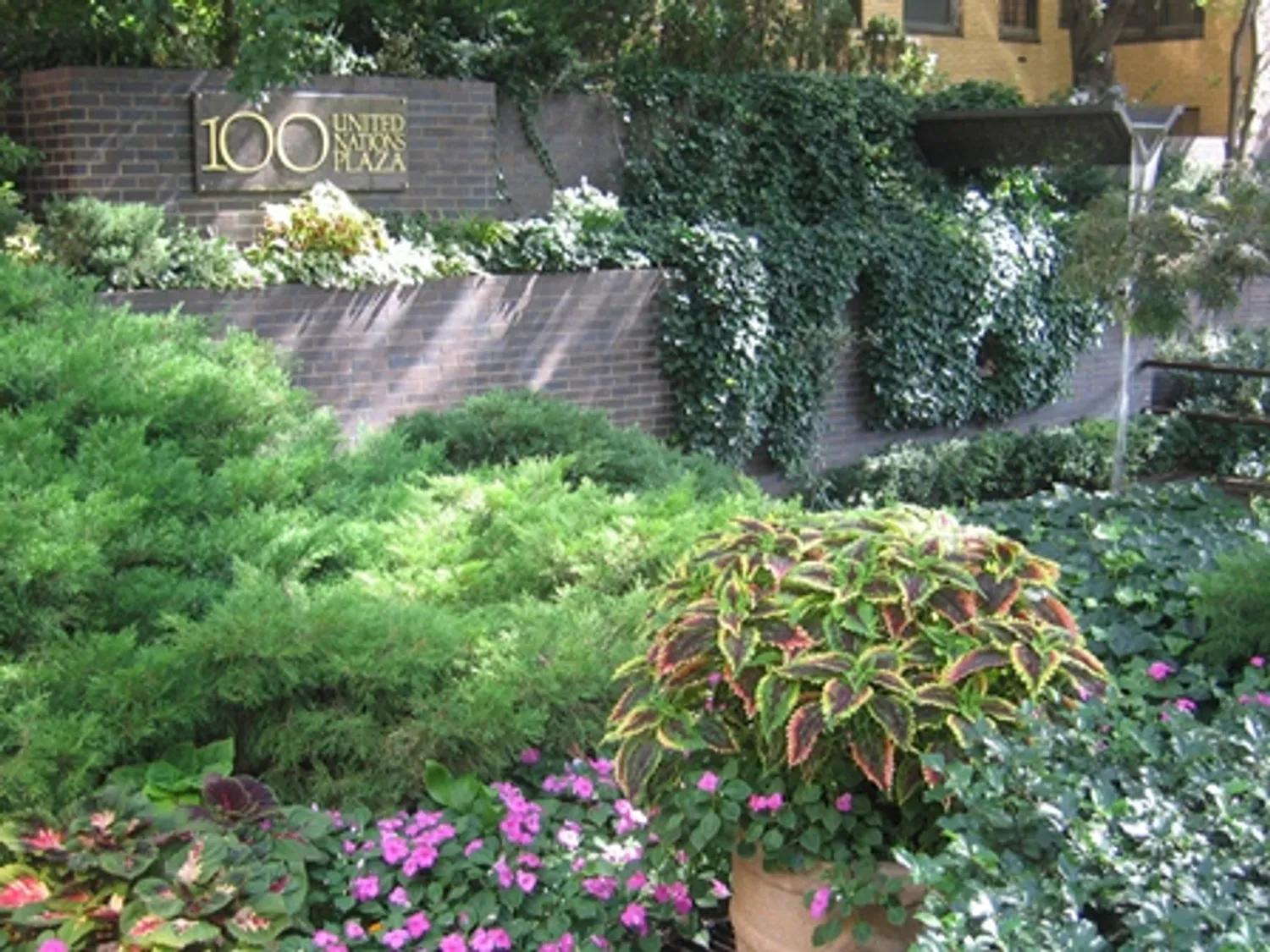 Some of the beautiful gardens at 100 UN Plaza