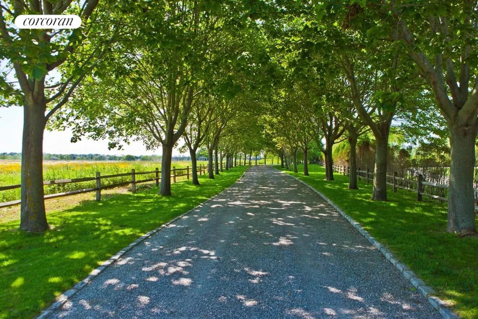 New York City Real Estate | View  | tree lined canopied driveway | View 3