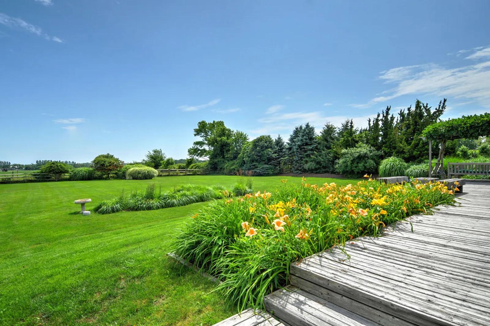 New York City Real Estate | View  | Views from back yard overlooking huge reserve | View 7