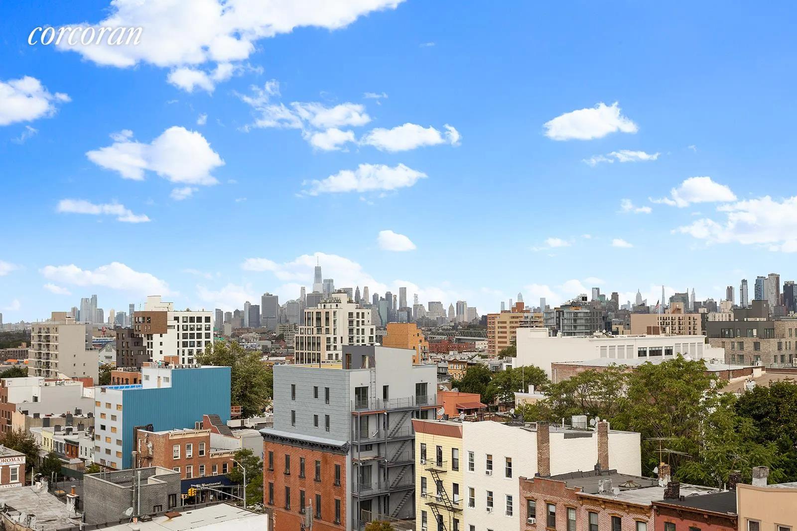 New York City Real Estate | View 259 21st Street, 2G | Spectacular view from the huge shared roof deck | View 8