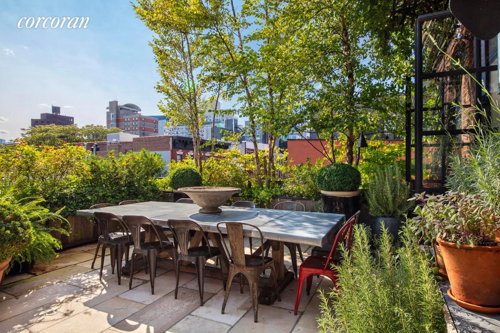 New York City Real Estate | View 235 East 11th Street, Penthouse | Roof Deck | View 11