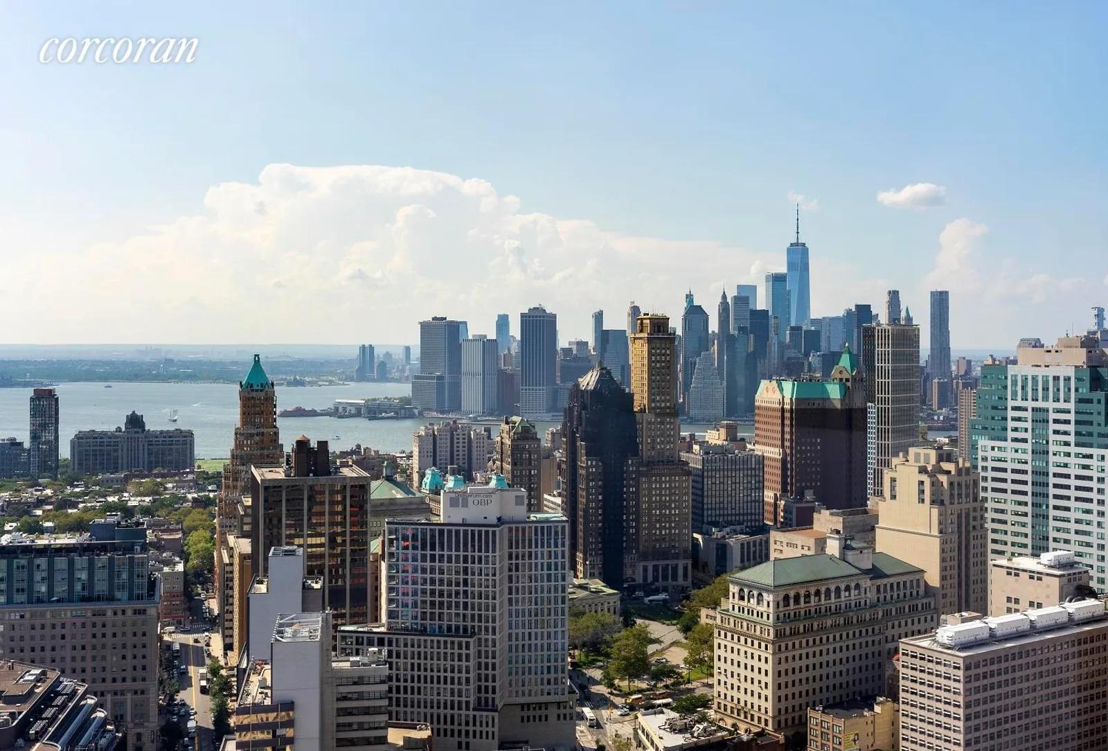 New York City Real Estate | View 11 Hoyt Street, 41J | View | View 8