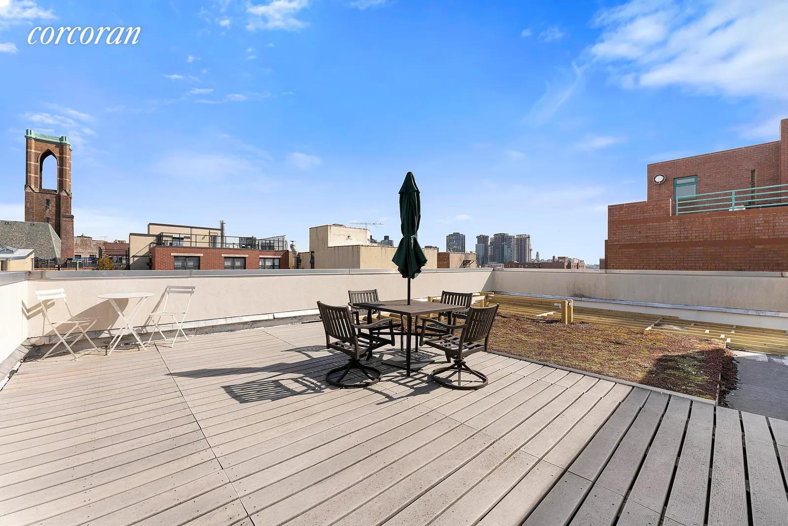 New York City Real Estate | View 51 East 128th Street, 1C | Roof Deck | View 7