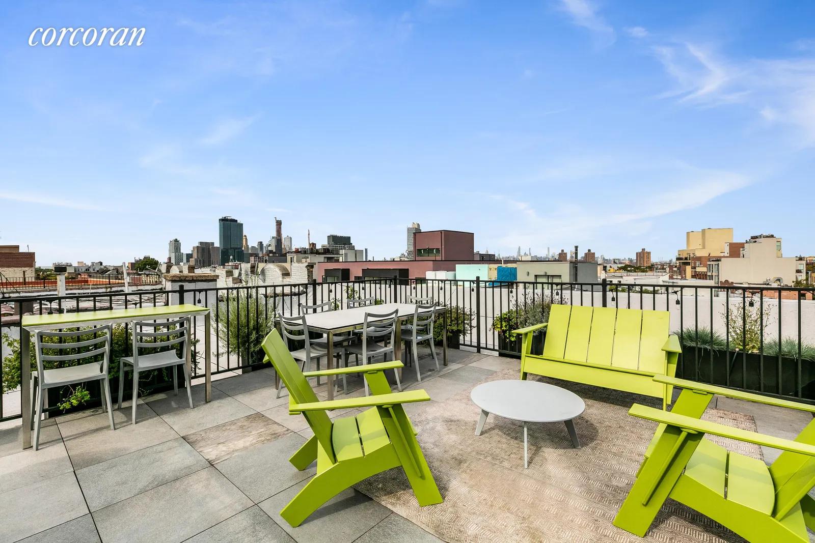 New York City Real Estate | View 382 Prospect Place, 19 | Stunning Common Rroof Deck | View 8