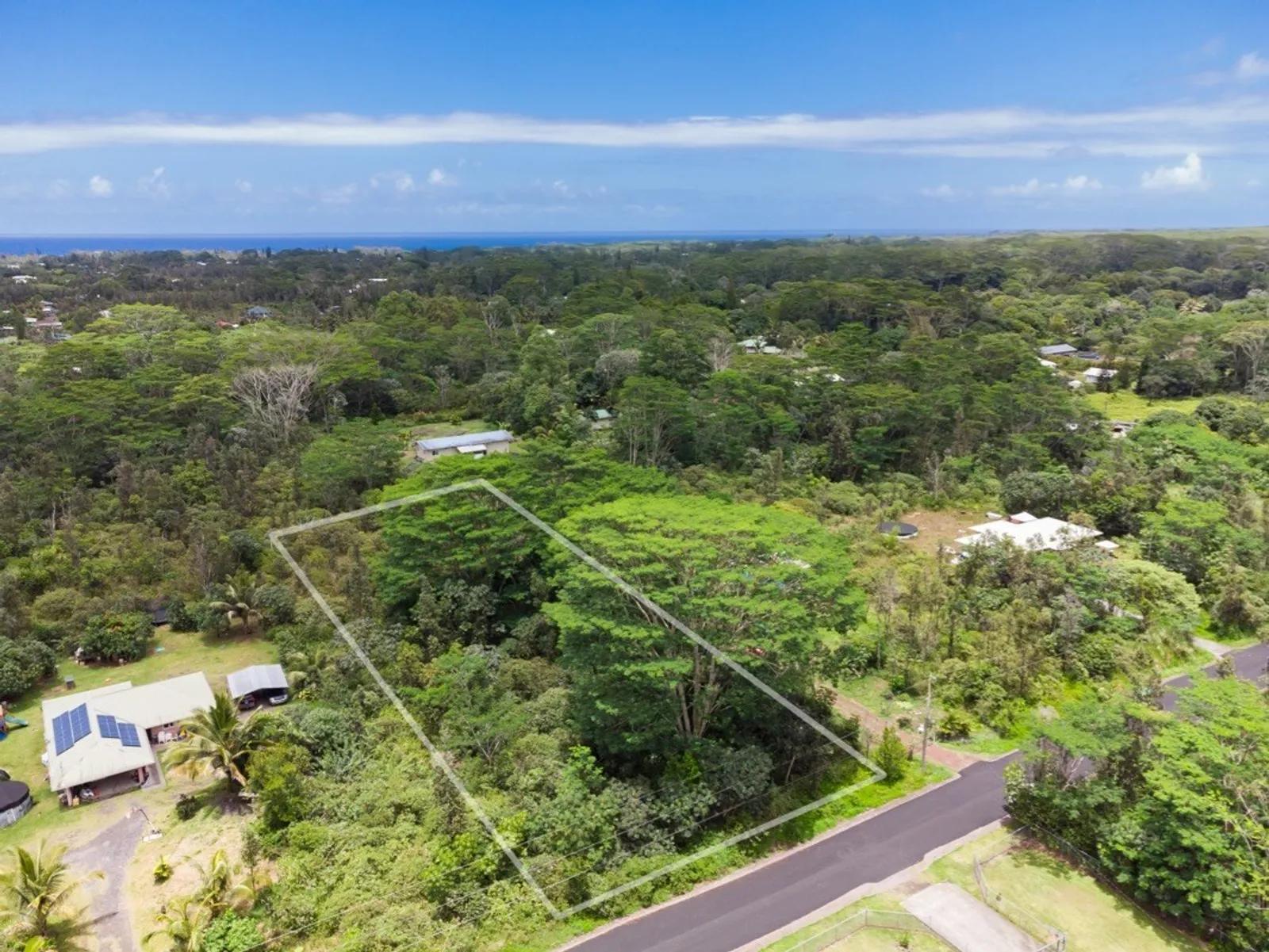 Hawaii Real Estate | View 12th Ave | View 1