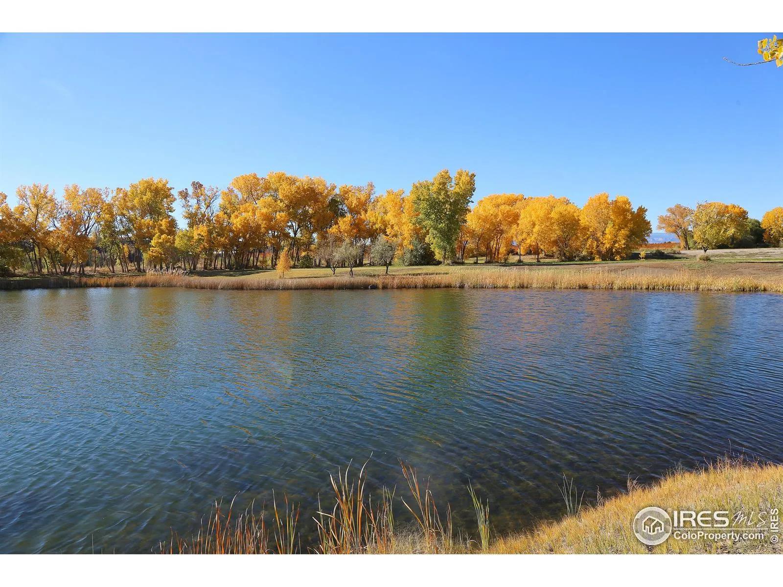 Denver Real Estate | View 3521 F Road | Listing | View 14