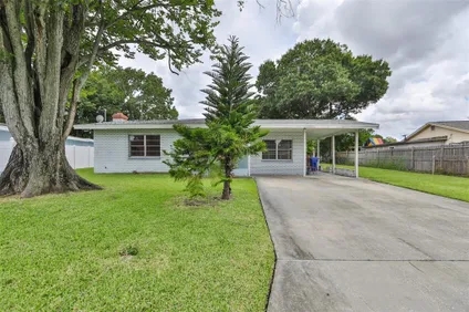 Homes for sale in Tampa | View 807 Papaya Drive | 3 Beds, 2 Baths