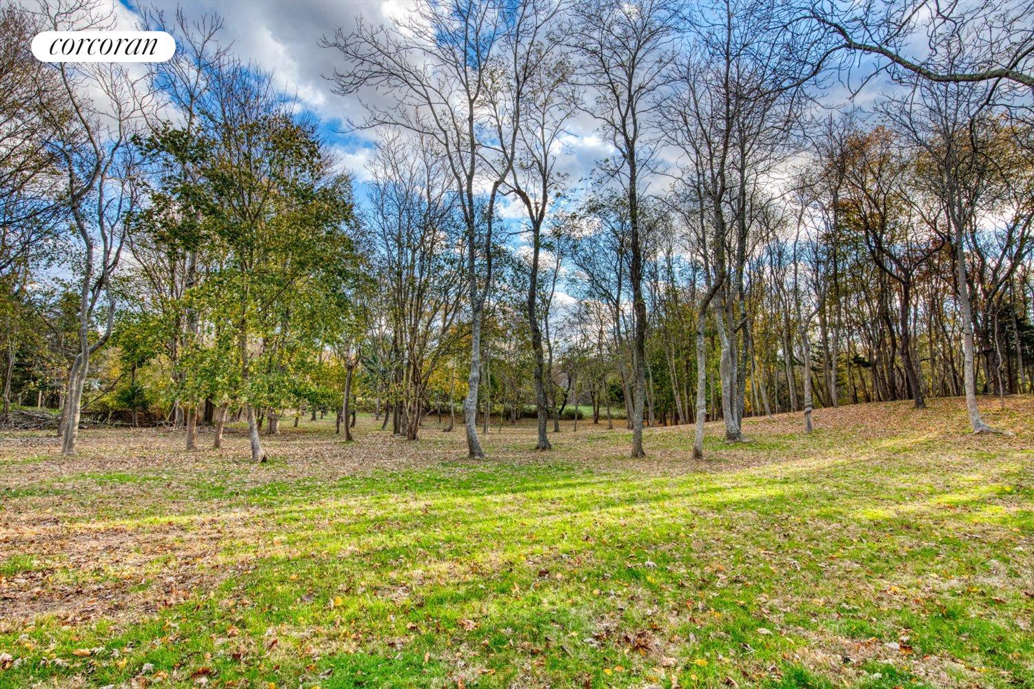 The Hamptons Real Estate | View 151 North Ferry Road | Expansive lawns and woods | View 29